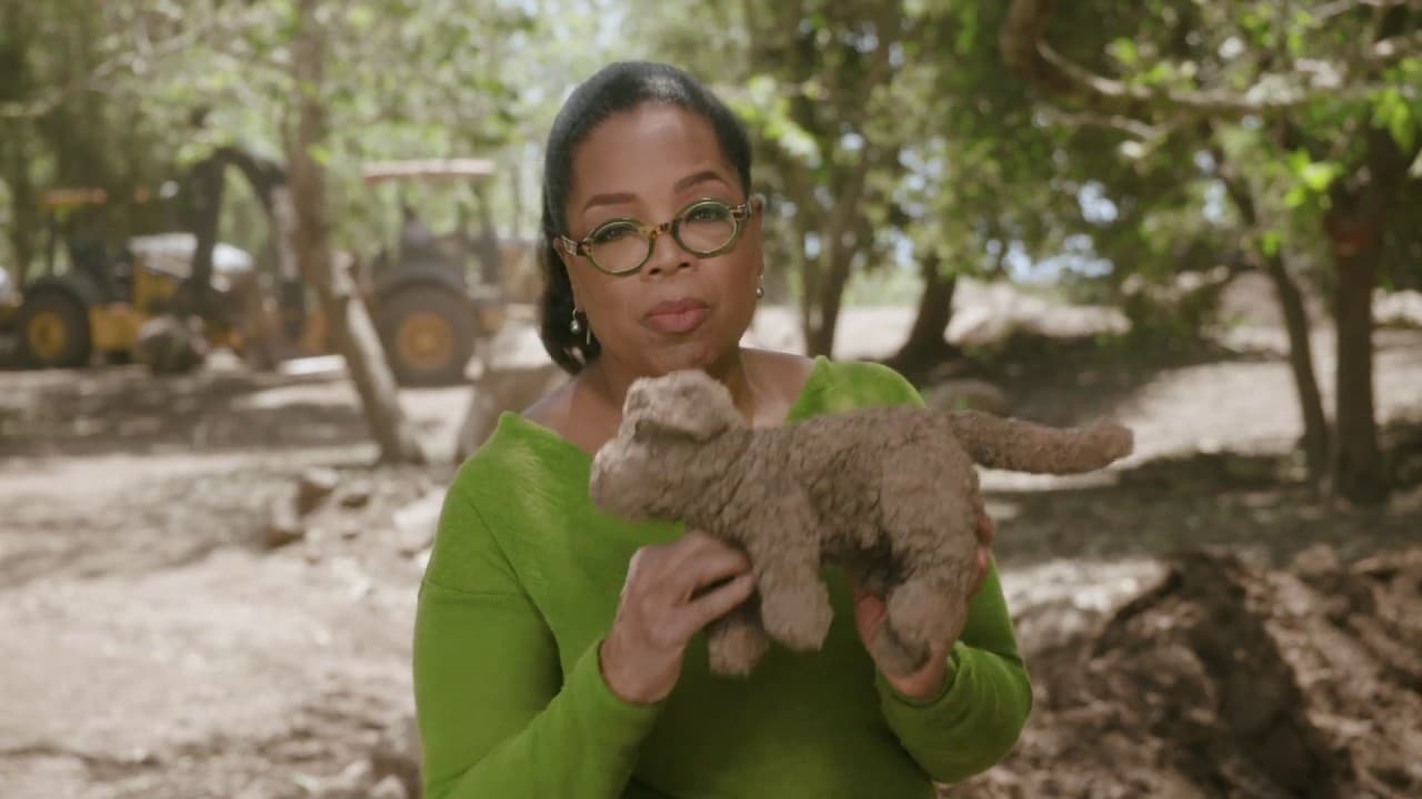 Katy Perry x Oprah Winfrey - WITNESS: Coming Home