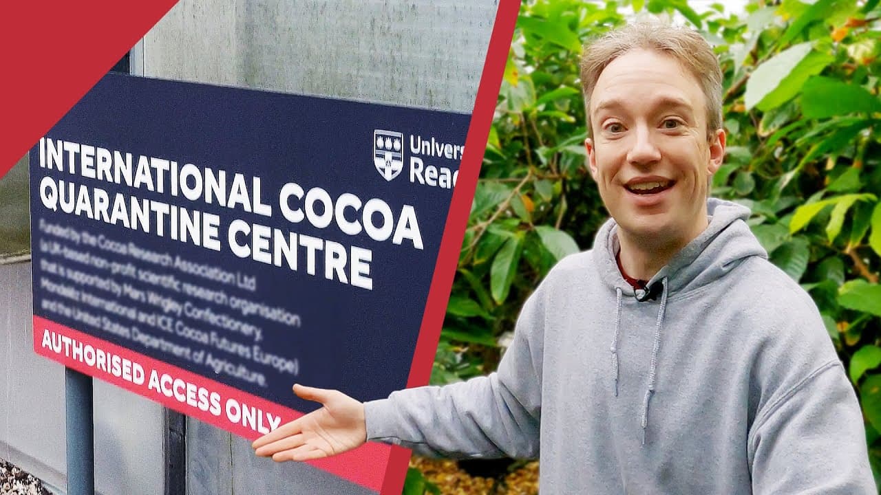 How one British laboratory protects the world's chocolate