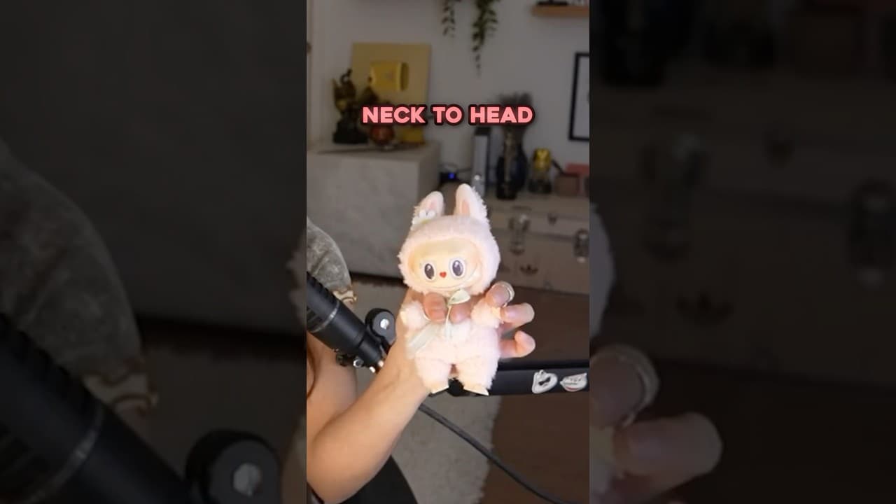 Is My First Labubu REAL?