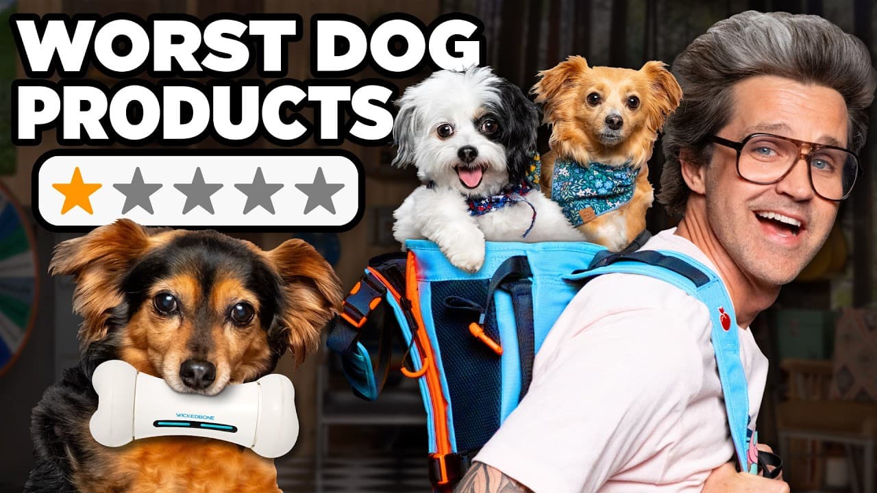 Trying Viral Pet Products With Our Dogs