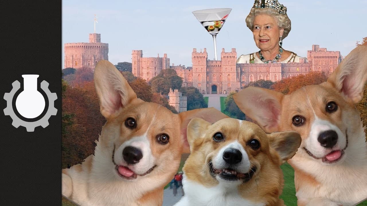 The True Cost of the Royal Family Explained