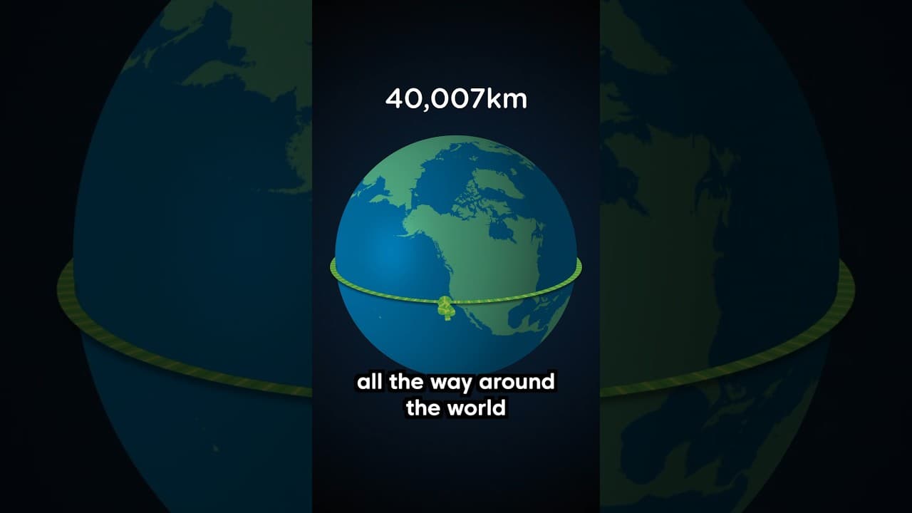 The Craziest Fact I Know