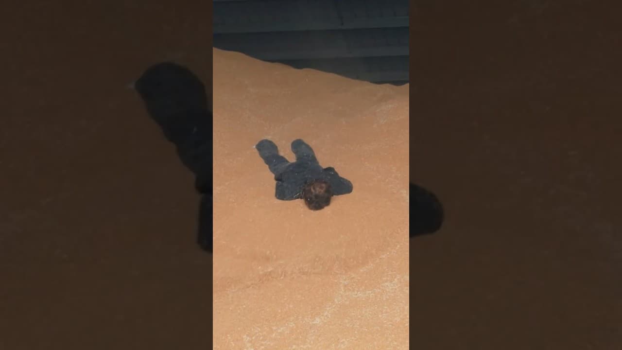 4 gars, et du blé. (ft @ByilhanSpamm @nicotine84)