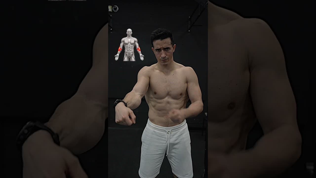 Build bigger forearms workout !! 🔥