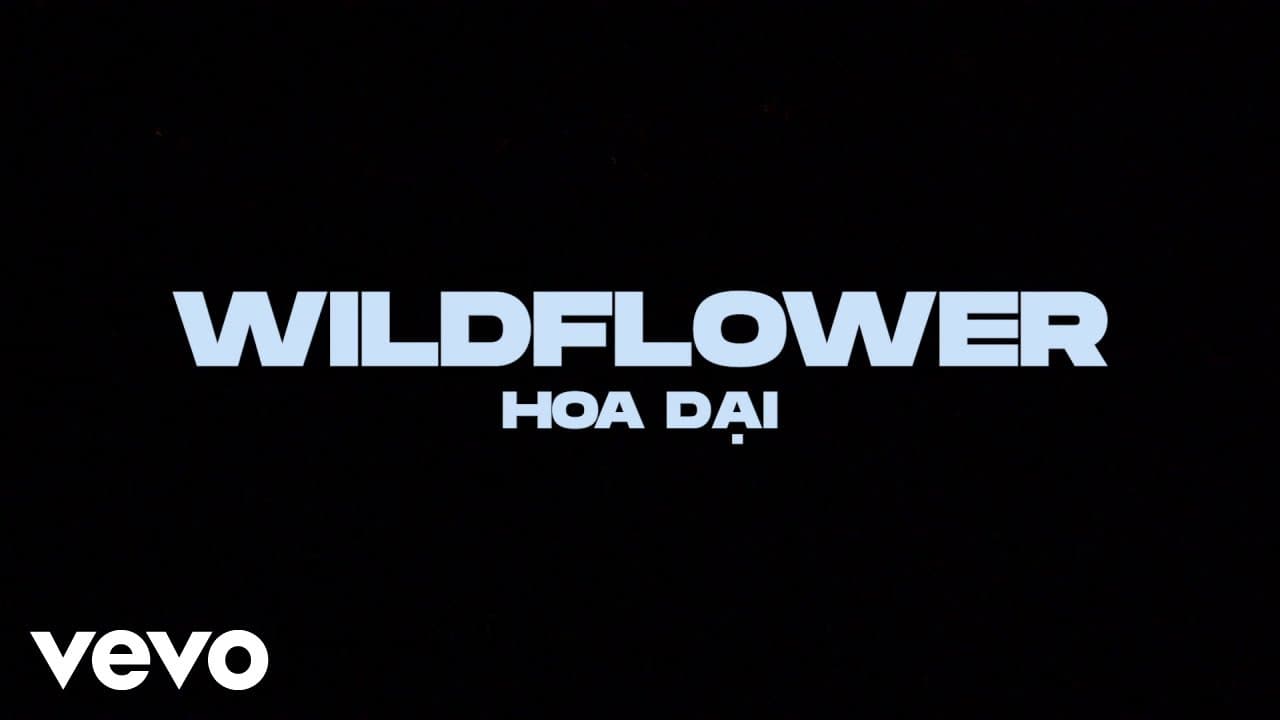 Billie Eilish - WILDFLOWER (Vietnamese Lyric Video)