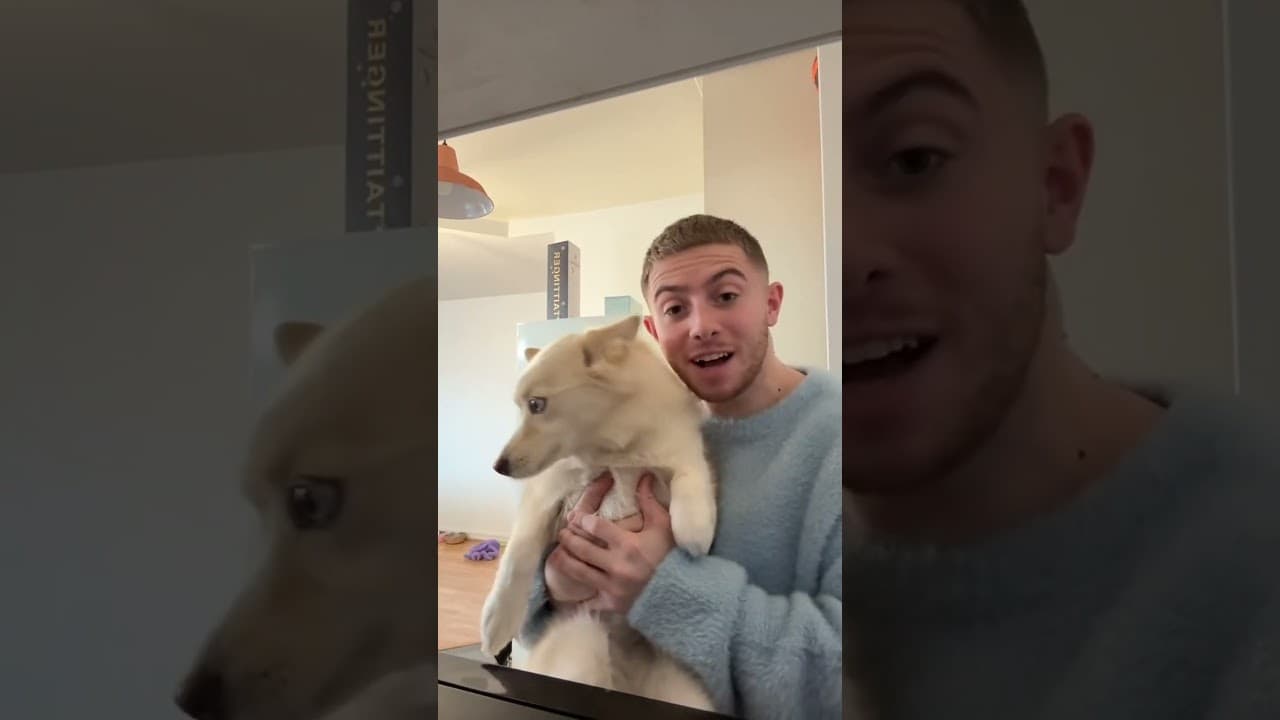 J’AI UNE CHIENNE DONC BIEN SÛR QUE … (yuki a encore fait une dinguerie 😭)