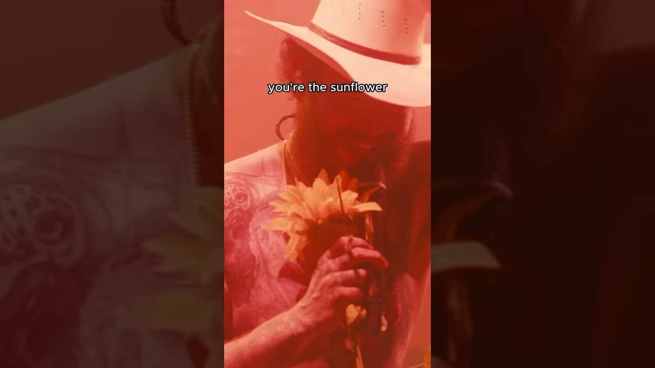 happy 5 years #sunflower 🌻 @swaelee