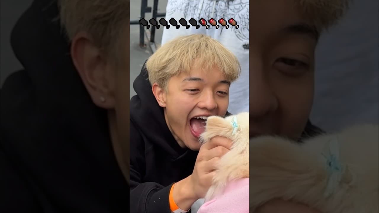 they want to eat temmie...