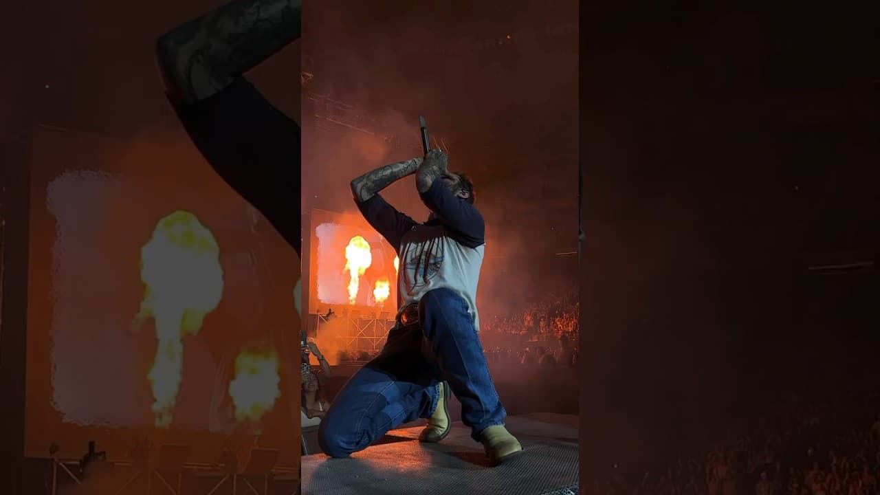 hollywood is bleeding