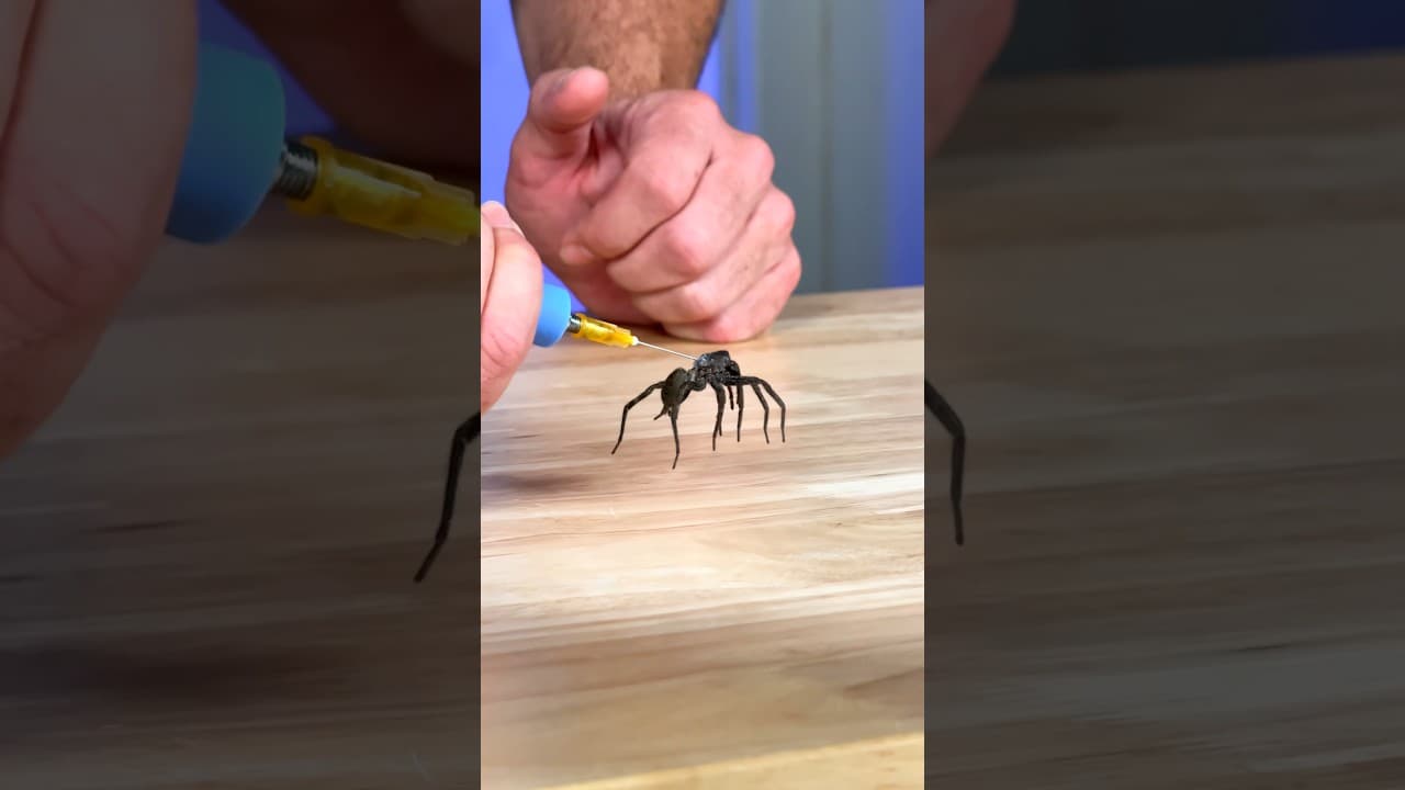 How Do Spider Legs Actually Work?