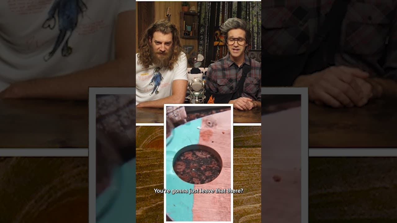 Reacting to Satisfying Videos?