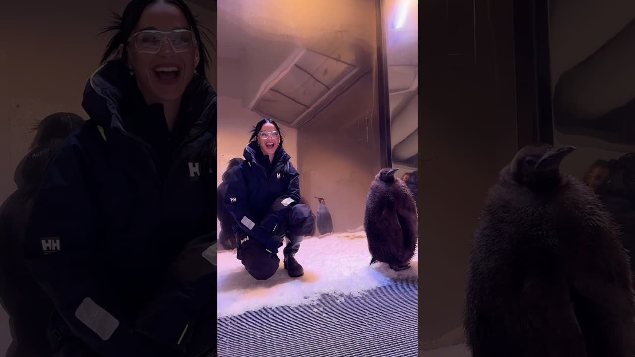 visited Pesto last night. he told me who will win in the afl grand final but my lips are sealed 🤐