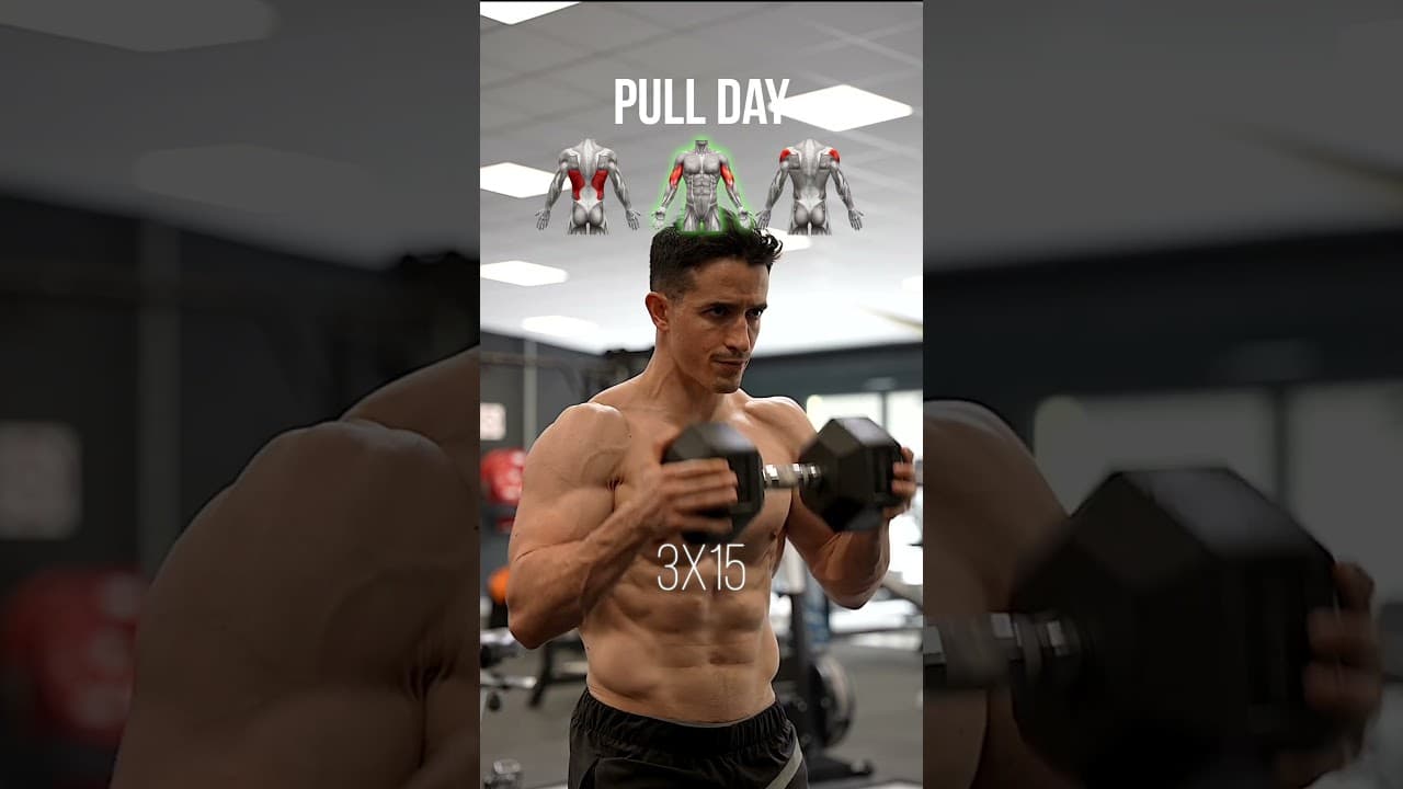 Full pull workout !! (back, biceps, rear delt)
