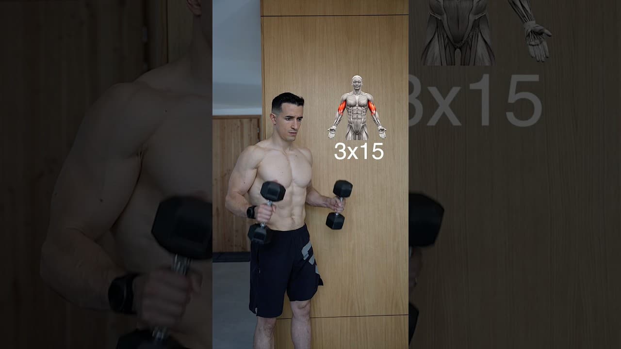 Full body beginner home workout ! 🔥