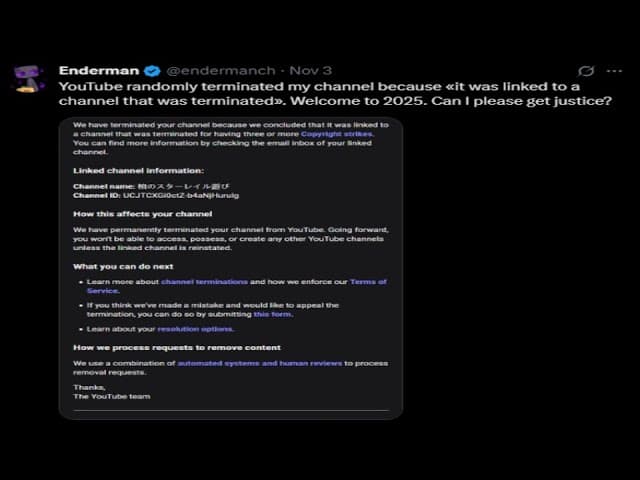 Latest Youtube Ban Wave is Nuts