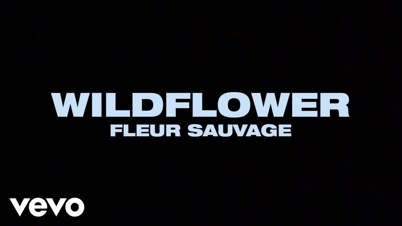 Billie Eilish - WILDFLOWER (French Lyric Video)