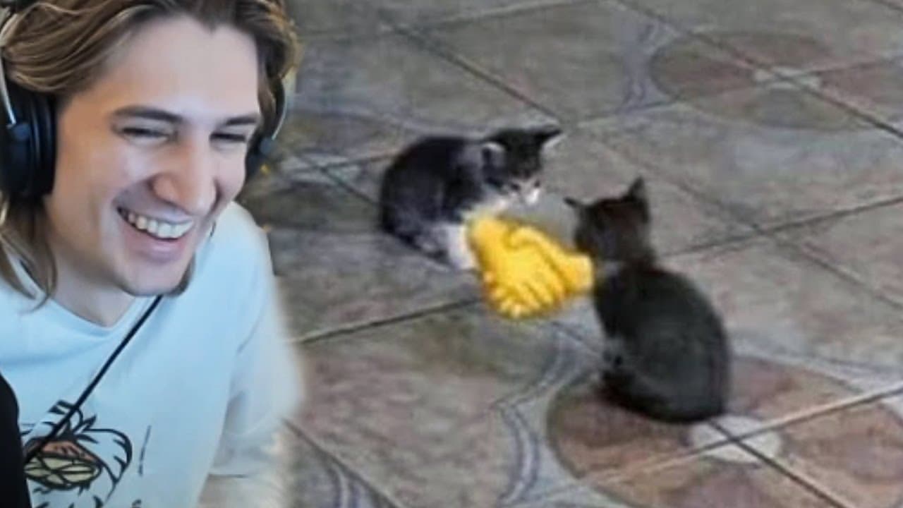 xQc Reacts to memes i found in the quiet kid's backpack