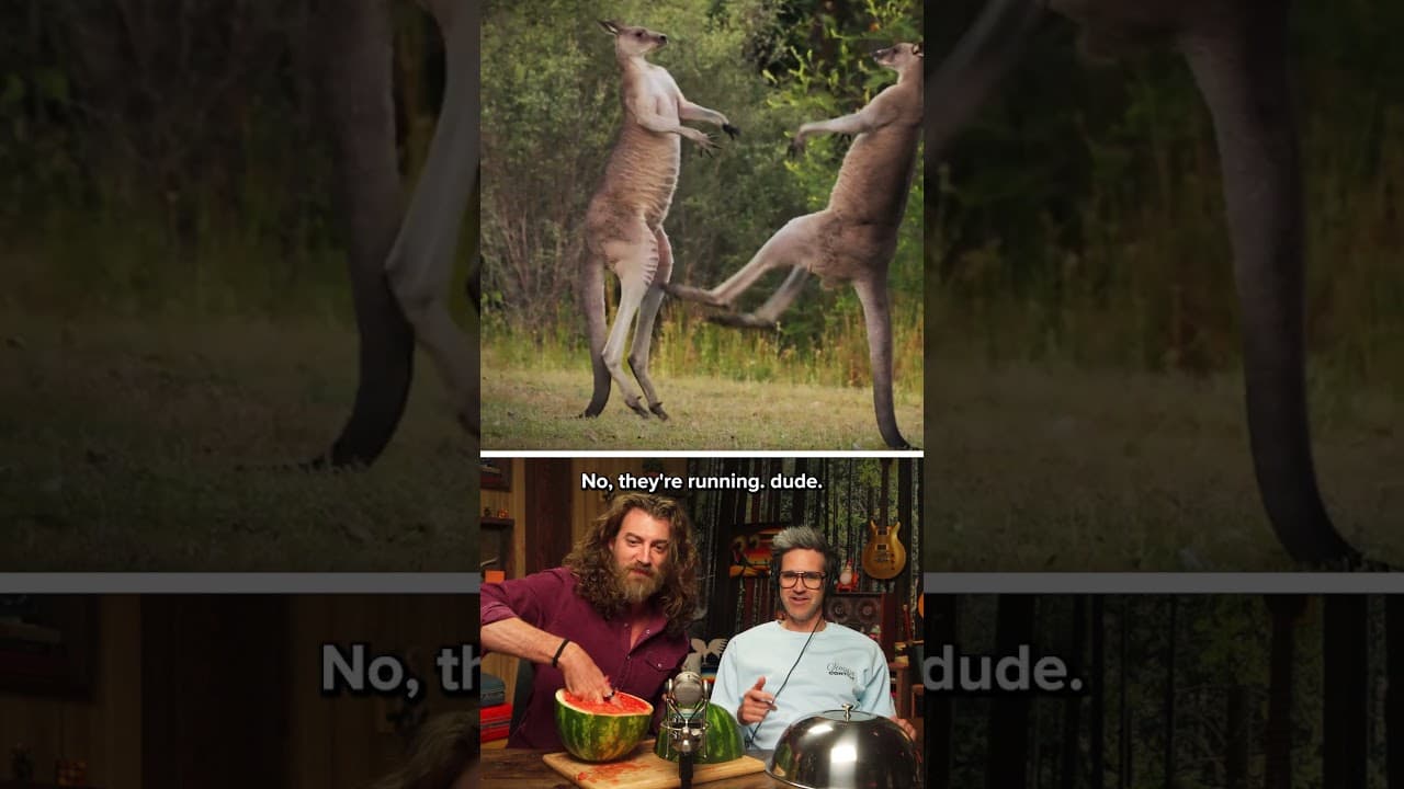 We don't know how kangaroos are supposed to sound but... that's probably right.