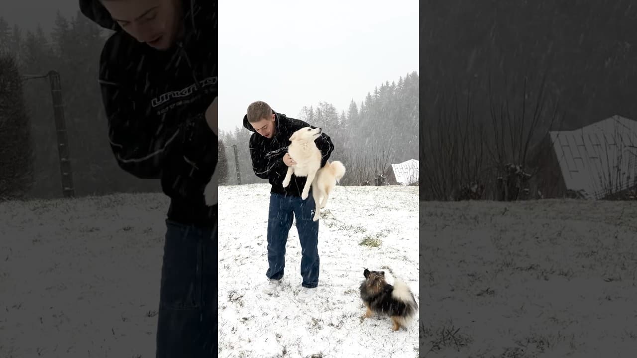 YUKI DÉCOUVRE LA NEIGE POUR LA PREMIÈRE FOIS 🥰🐕