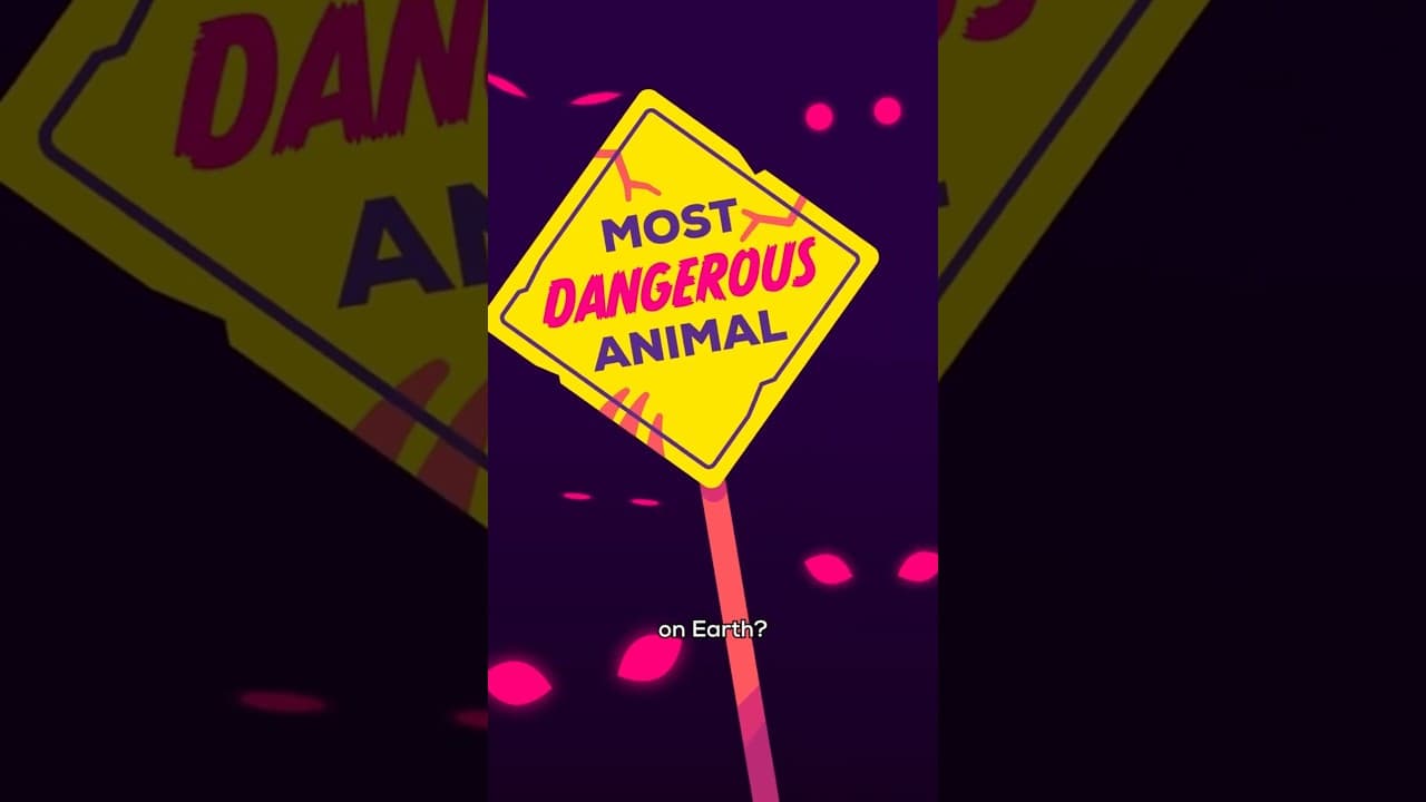 The Most Dangerous Animal
