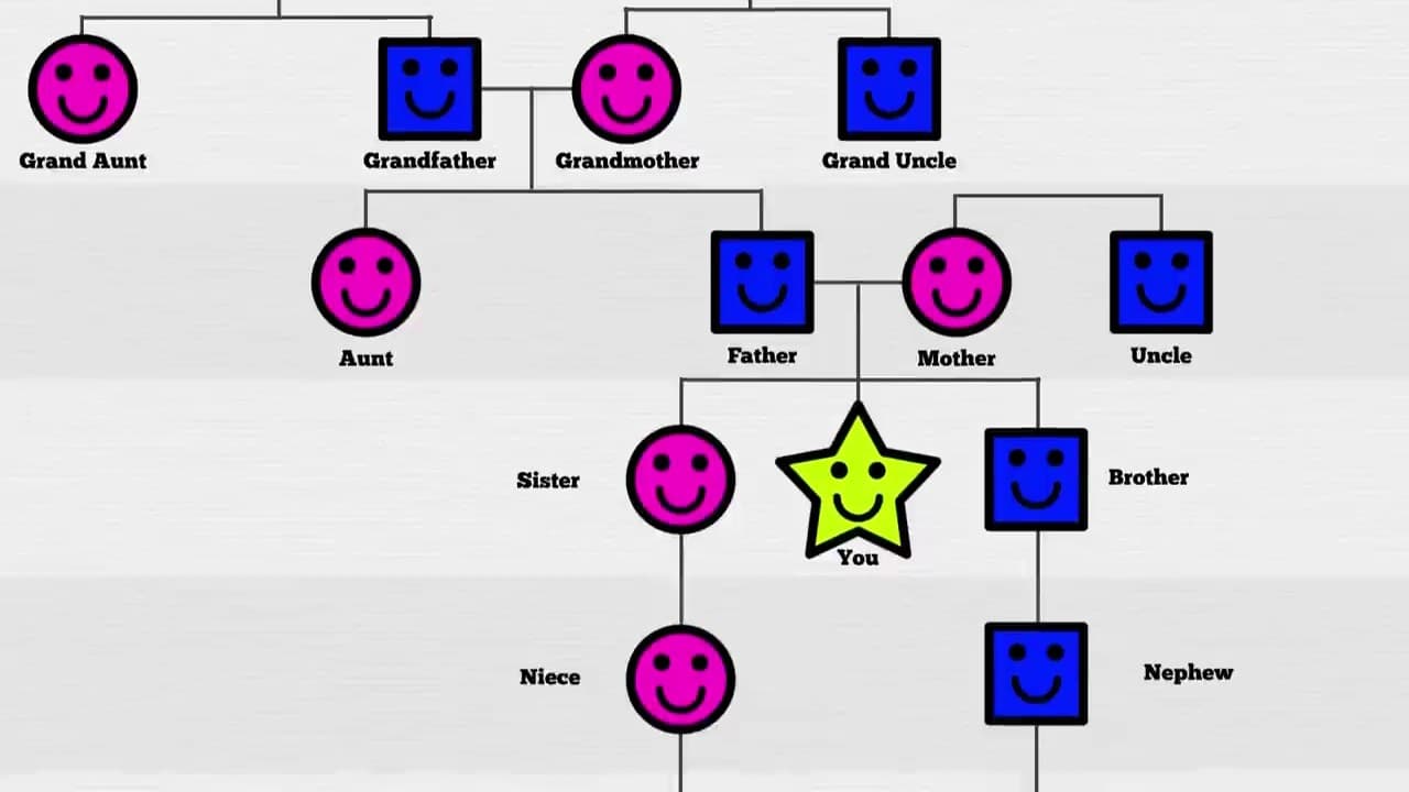 Your Family Tree Explained