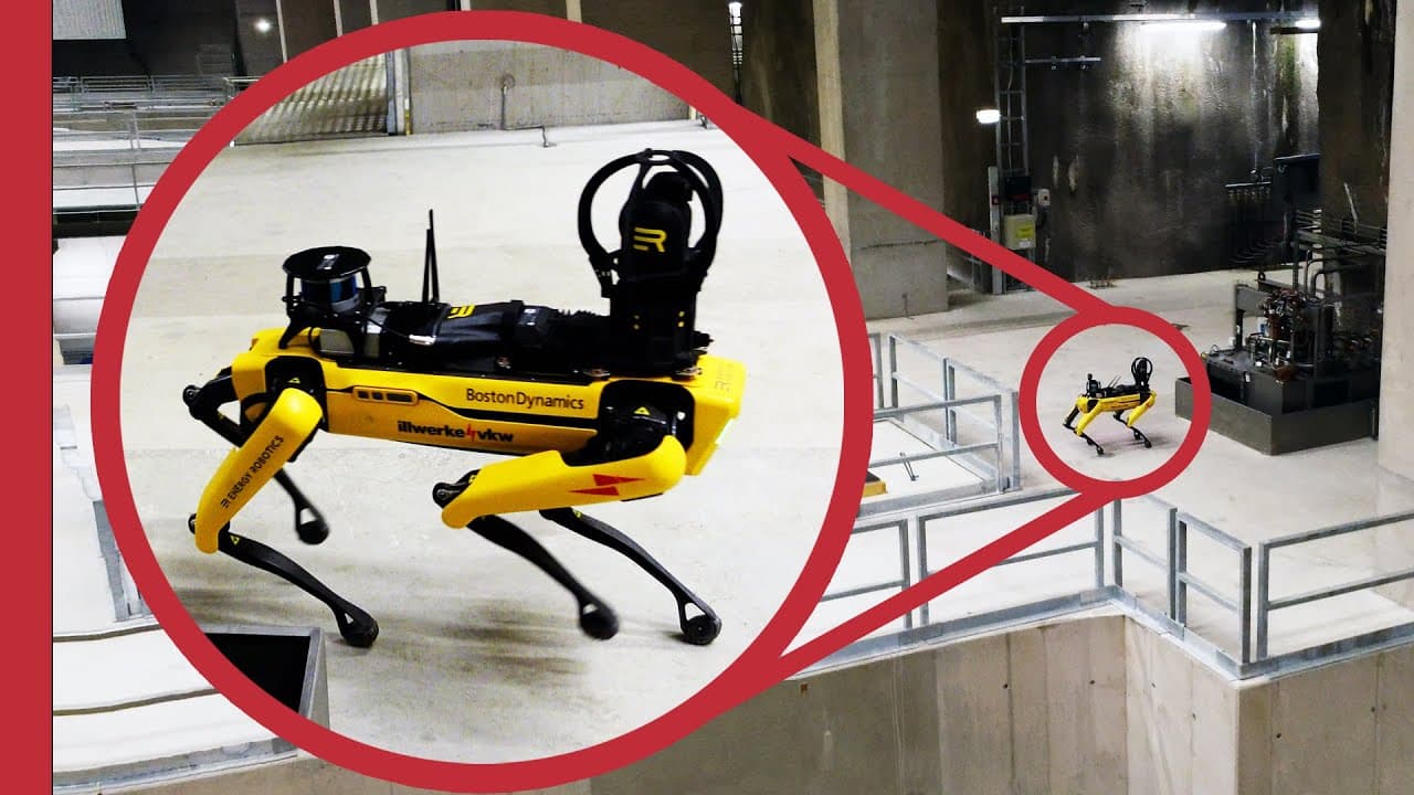An actual, real-world use for robot dogs