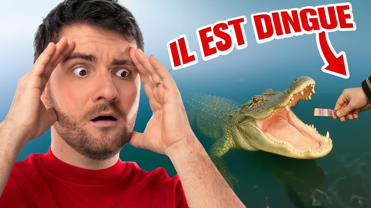 CES GENS SONT INCONSCIENTS ! (ils me désespèrent) #3