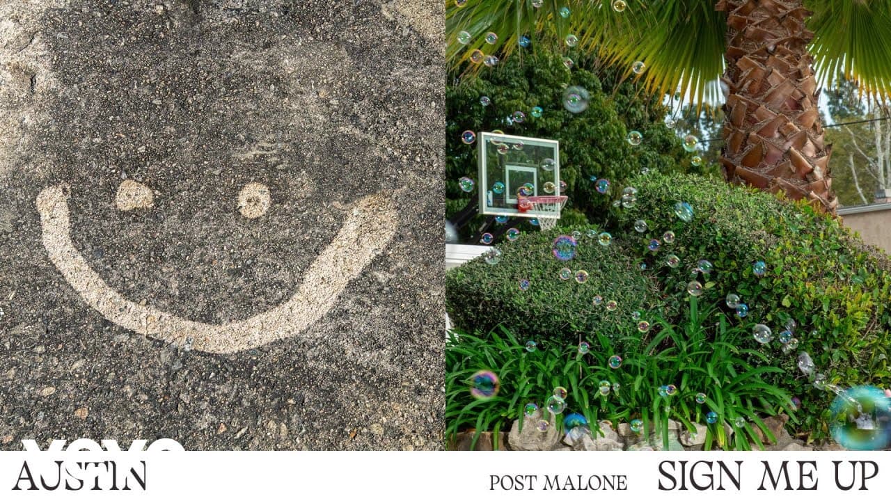 Post Malone - Sign Me Up (Official Audio)