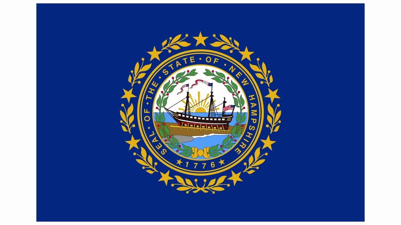 🇺🇸 DOES YOUR FLAG FAIL? Grey Grades State Flags!