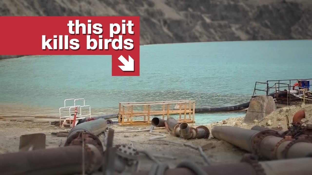 The toxic pit with a $3 admission fee