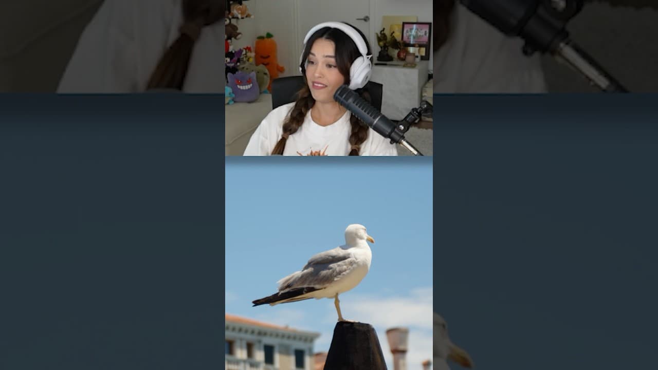 Rae Becomes A Seagull 😭