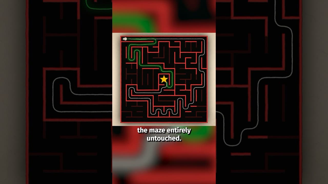 How to solve any maze