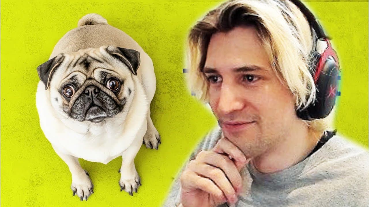 How Humans Ruined Dogs | xQc Reacts