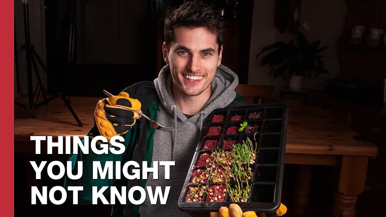 How To Grow A Martian Salad On Earth