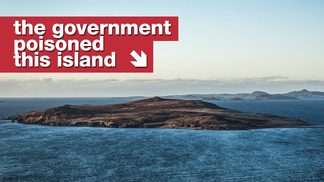 The Accidental Rush for Anthrax Island