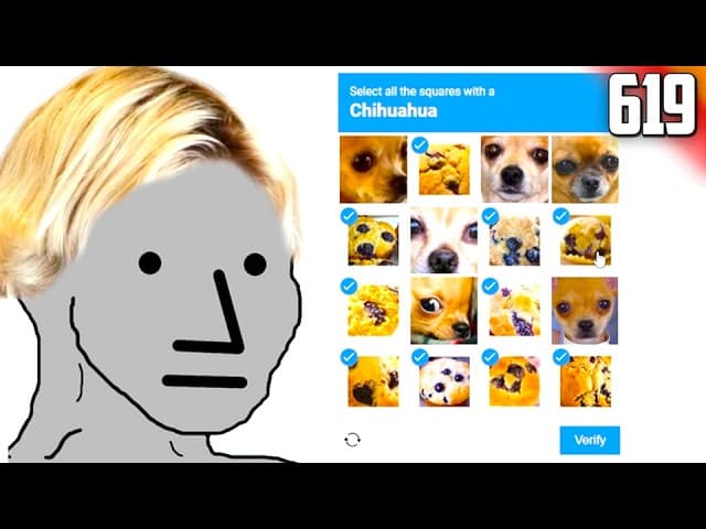 FUNNIEST XQC CLIPS #619