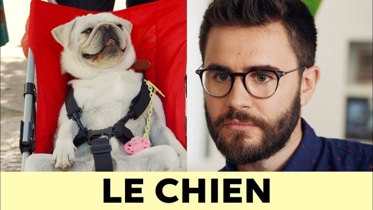 PRESQUE ADULTES EP2 - LE CHIEN