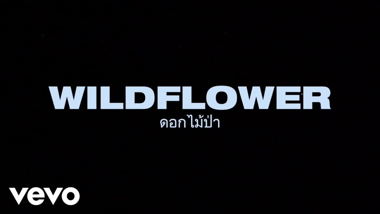 Billie Eilish - WILDFLOWER (Thai Lyric Video)